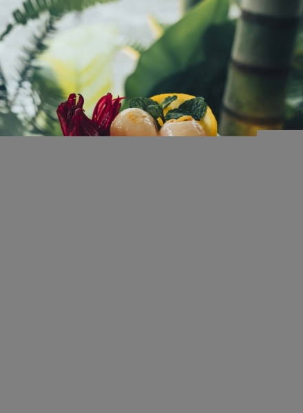 Trà Hibicus Vải