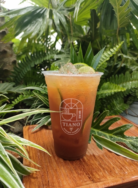 Trà lipton mật ong